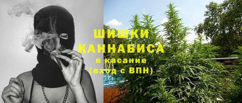 гидра зеркало  Рассказово  Каннабис White Widow 